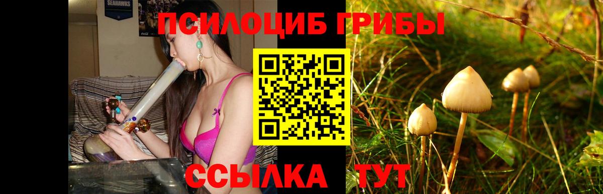 Галлюциногенные грибы мухоморы  Вход с VPN  Галлюциногенные грибы MAGIC MUSHROOMS  Псков 