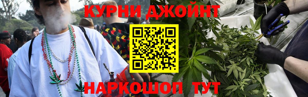 Бошки Шишки гибрид Псков